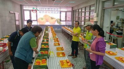 中市甜柿評鑑　和平區葉兆仁奪甜柿果王